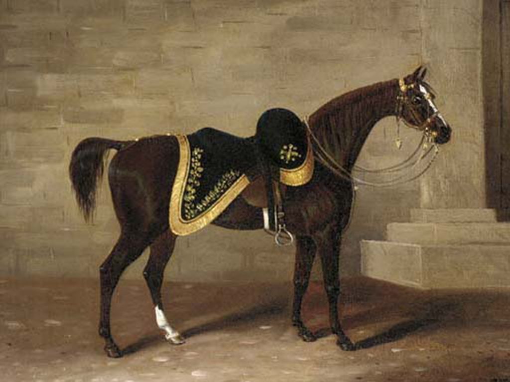 Duke of Wellingtons Horse Copenhagen